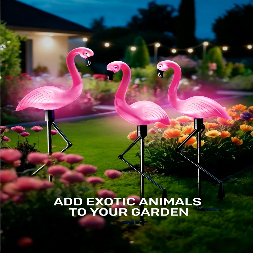 3Pcs Solar Powered Flamingo Gr – Smart Zen Garden Bewertung und Preis