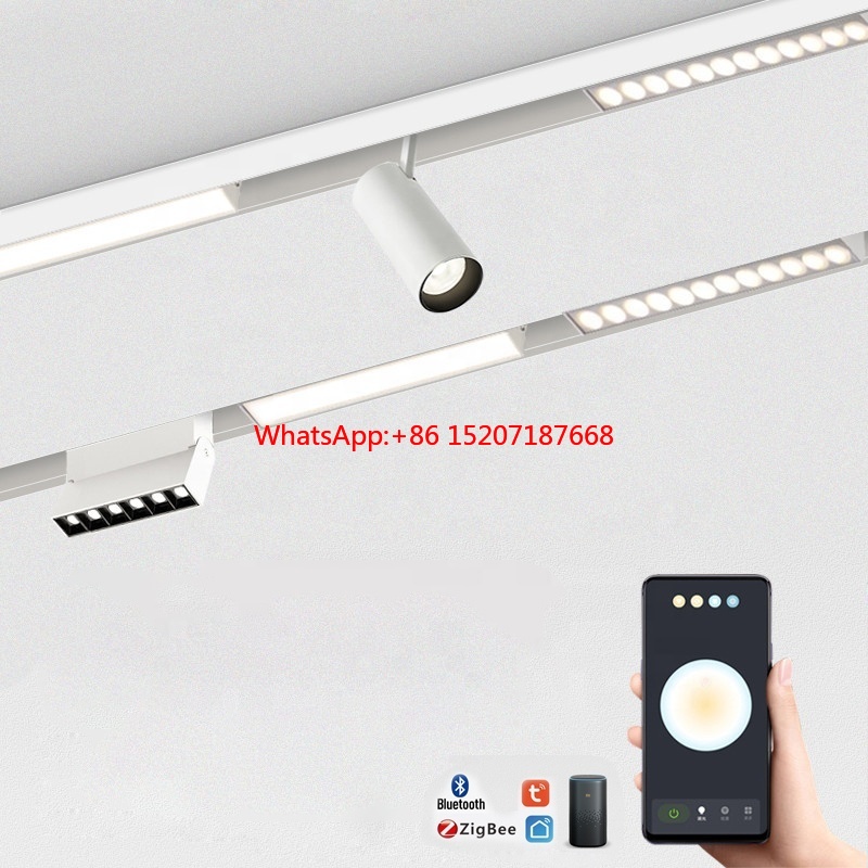 20W Track Spotlight LED Tuya Z – Smart Zigbee Garden Light Bewertung und Preis