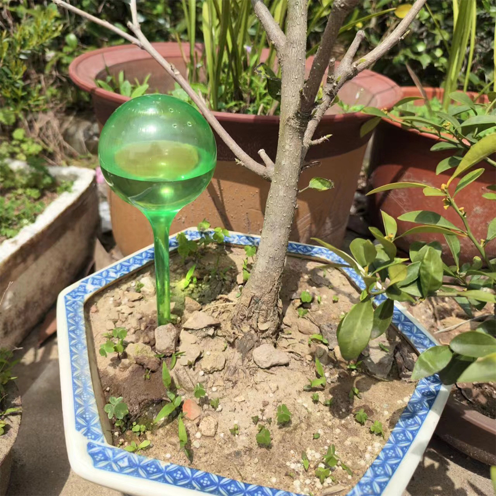 Automatic Plant Watering Bulbs – Smart Garden Sprinkler Bewertung und Preis