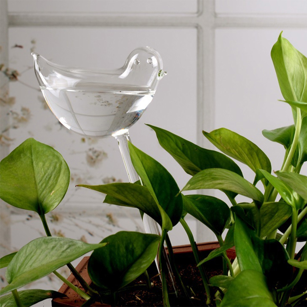 Automatic Plant Watering Bulbs – Smart Garden Sprinkler Bewertung und Preis