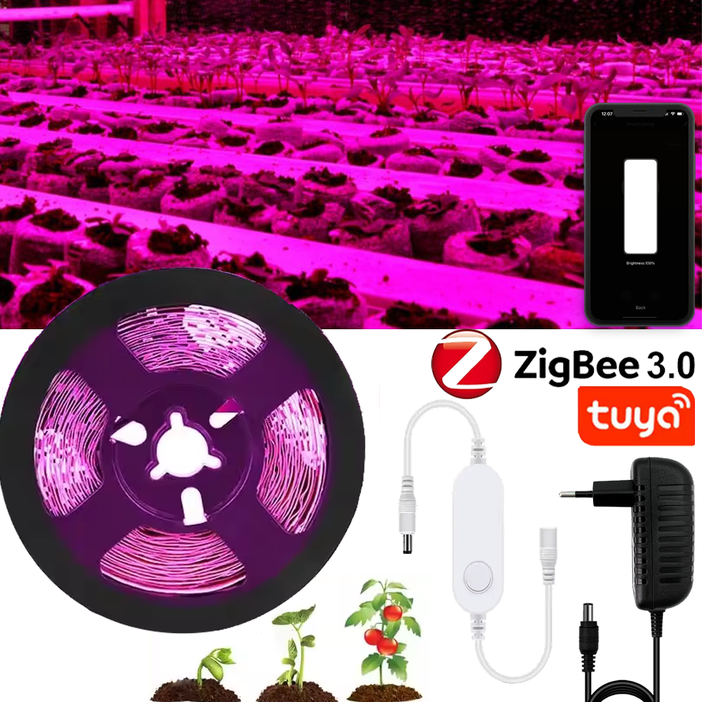 ZIGBEE 3.0 Smart LED Strip Gro – Smart Zigbee Garden Light Bewertung und Preis