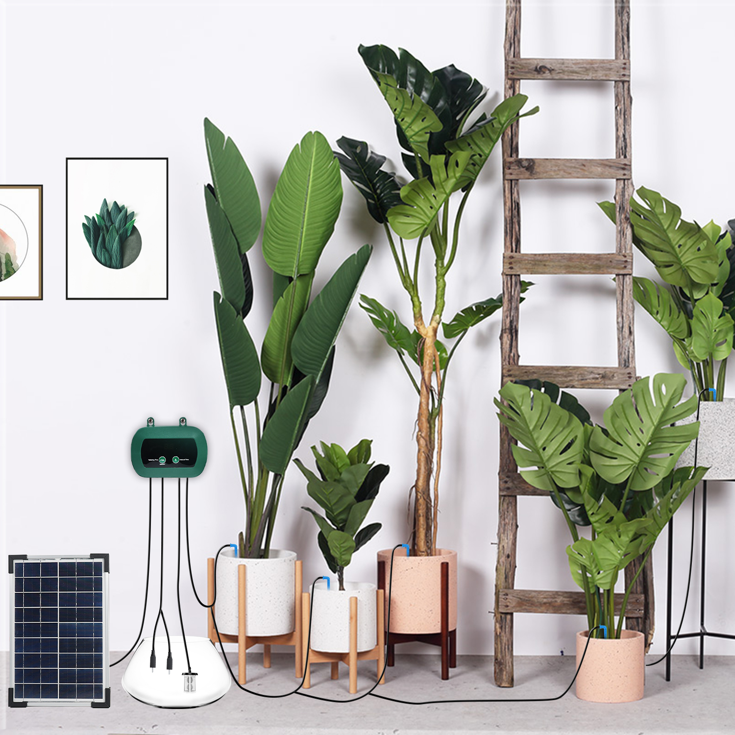 Solar Hydroponics Equipment  M – Smart Garden Kit Bewertung und Preis