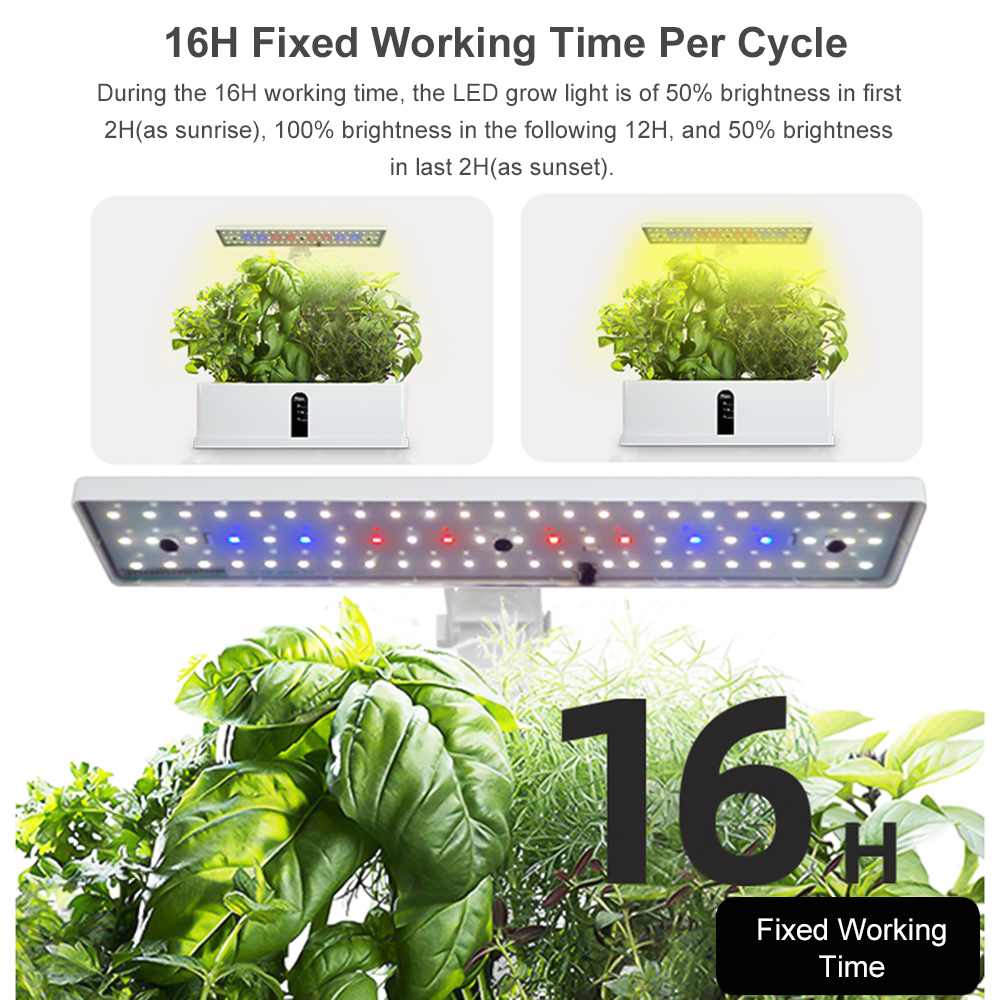 Smart Hydroponics Growing Syst – Smart Garden Led Lights Bewertung und Preis
